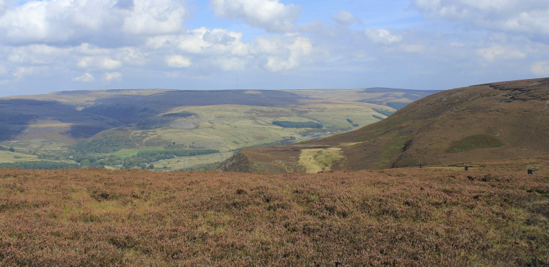 Black Hill Black Hill